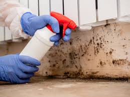 Port Byron, IL Mold Remediation Company